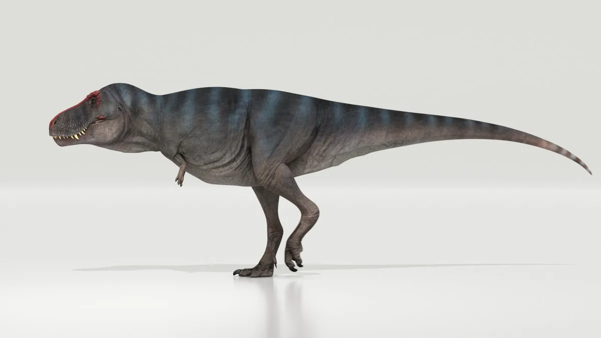 Cuánto mide un T-Rex adulto