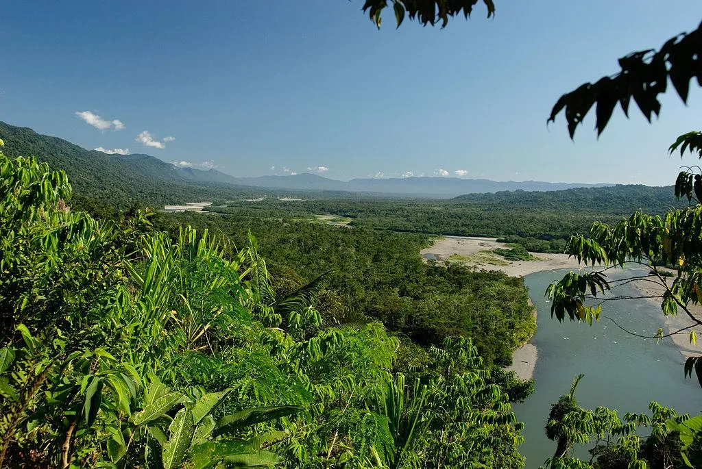 Qué animales se encuentran en la selva peruana Qué animales se encuentran en la selva peruana