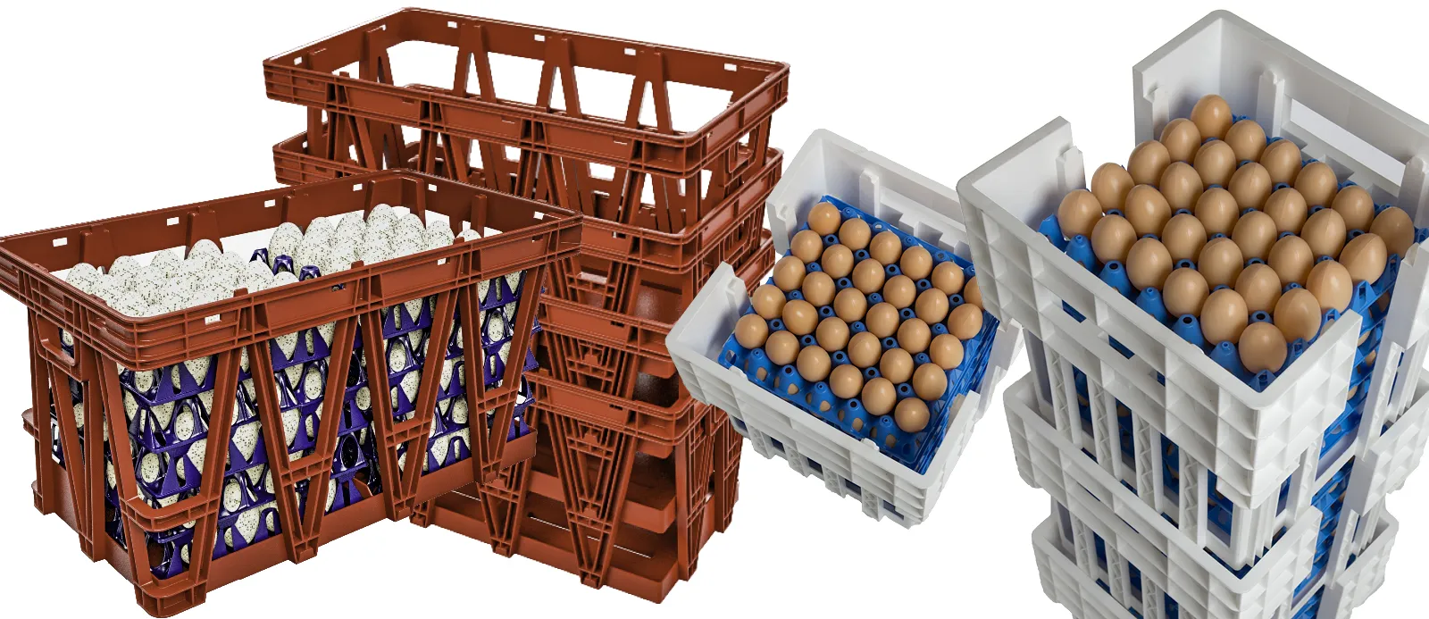 Inforecikla - Residuos - Caja de huevos de plástico
