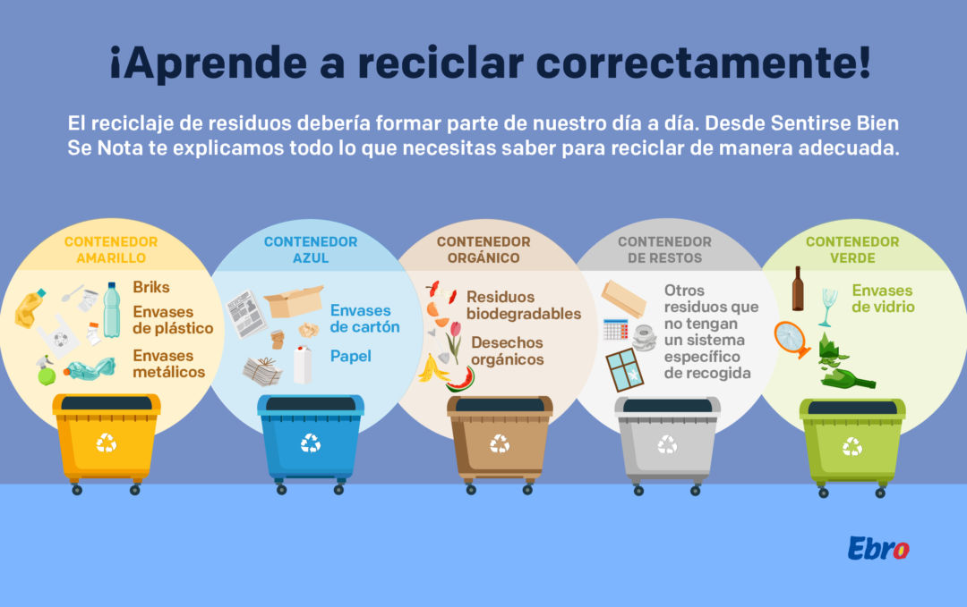 Cómo reciclar? - Guía completa de reciclaje - Algohayquehacer 